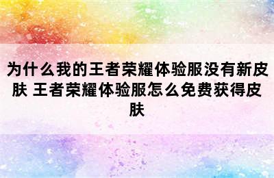 为什么我的王者荣耀体验服没有新皮肤 王者荣耀体验服怎么免费获得皮肤